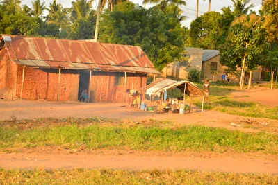 DSC_4283 (Large).JPG